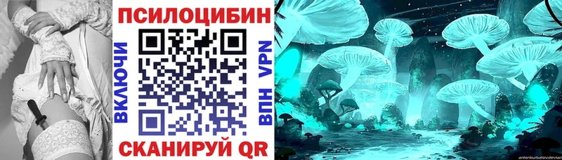 Псилоцибиновые грибы GOLDEN TEACHER  Купить  Котово 
